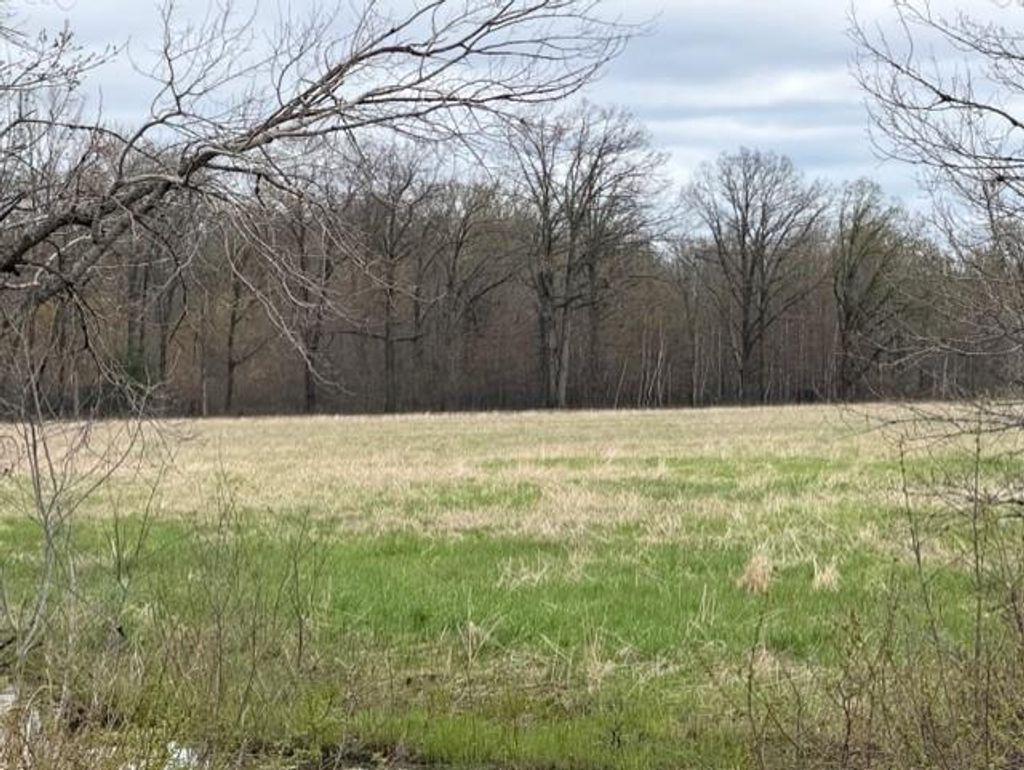 Photo of 23 Acres State Highway 54, Wisconsin Rapids, WI 54495 (MLS # 22601719)