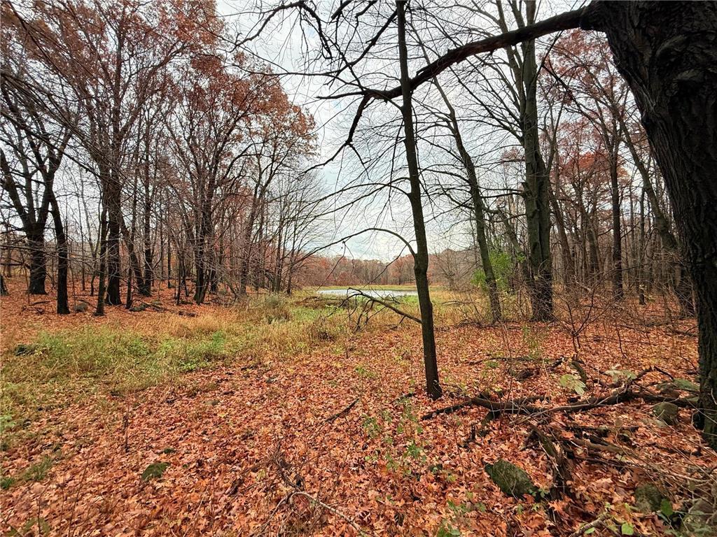 Photo of xxx 90th AVENUE, Amery, WI 54001 (MLS # 7164791)