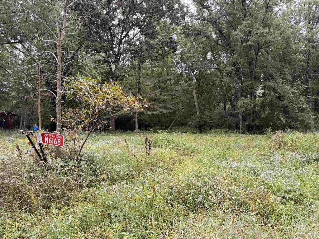 Photo of N6168 Blackhawk ROAD, Caledonia, WI 53901 (MLS # 2032999)