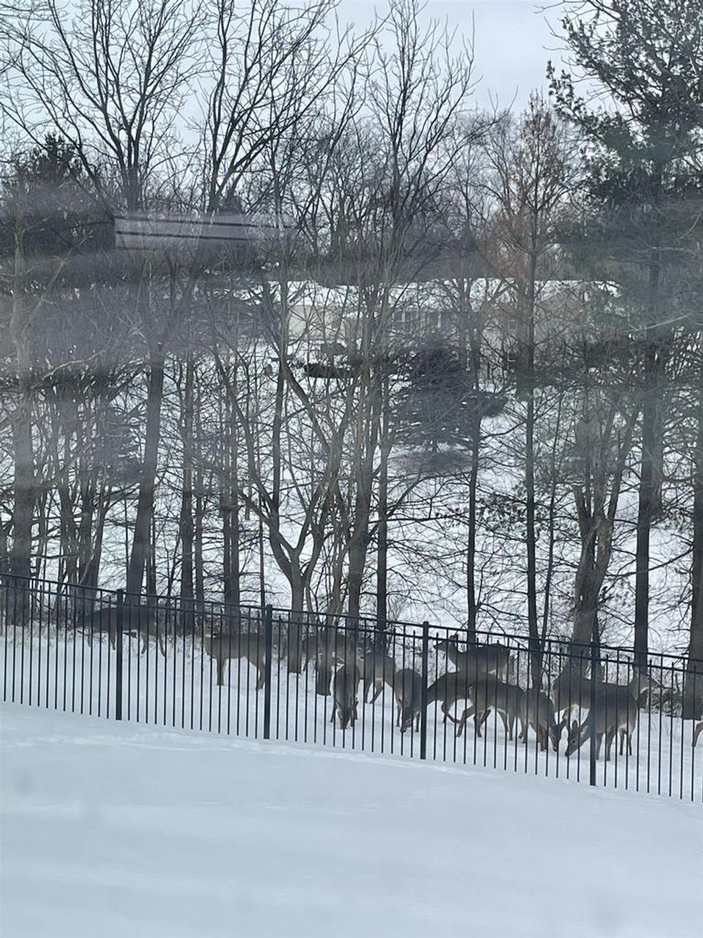 Photo of 4228 Park View DRIVE, Janesville, WI 53546 (MLS # 2012192)