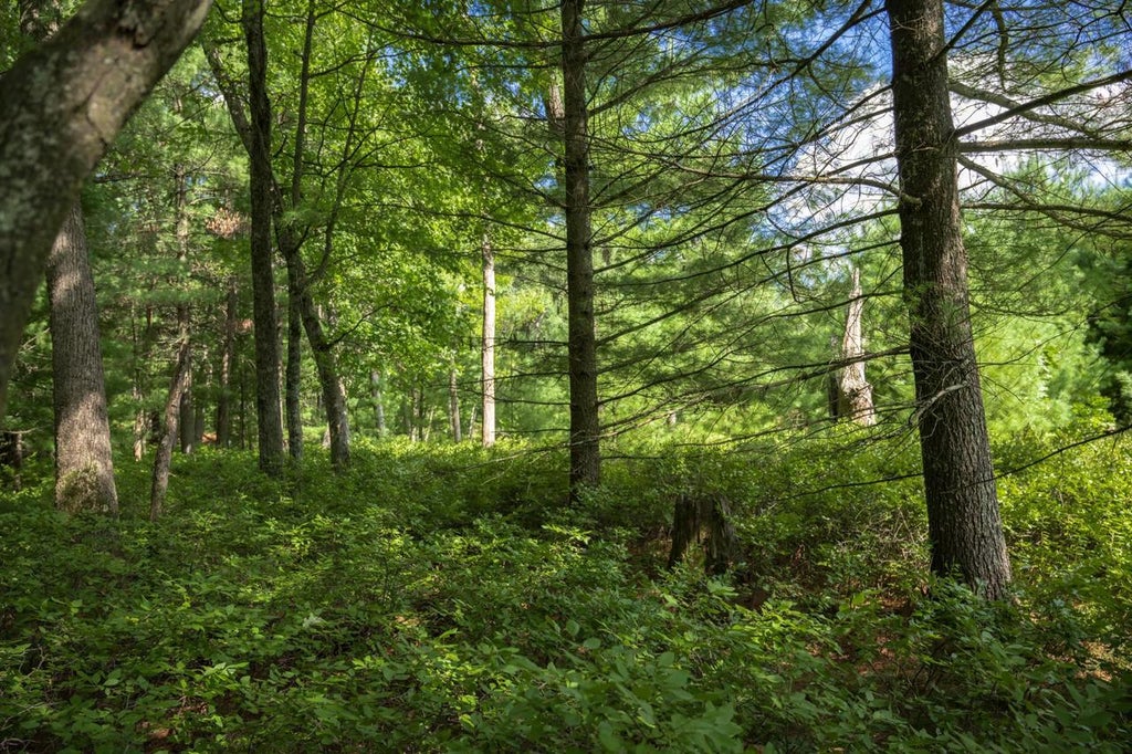 Photo of 3 acres 41st STREET, Mauston, WI 53948 (MLS # 2031619)