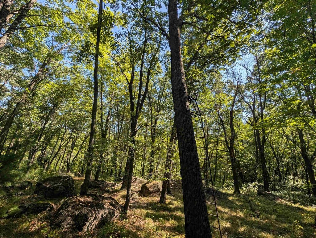 Photo of N6161 County Road K, Ogdensburg, WI 54945 (MLS # 50332029)