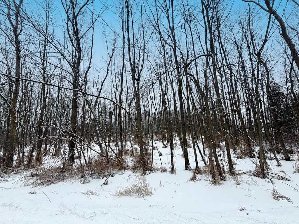 Photo of 9th ROAD, Algoma, WI 54201 (MLS # 50320322)
