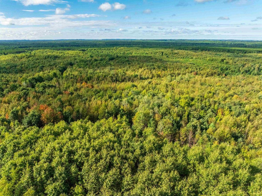 Photo of 204.74 AC Channey Rd Acres ACRES, Augusta, WI 54729 (MLS # 2033870)