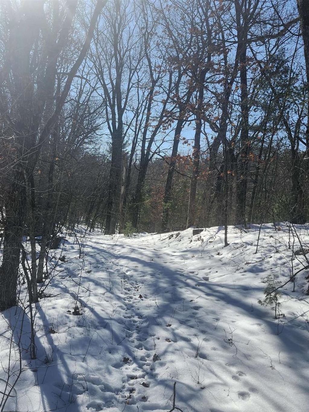 Photo of N3011 11th DRIVE, Wautoma, WI 54982 (MLS # 50321047)