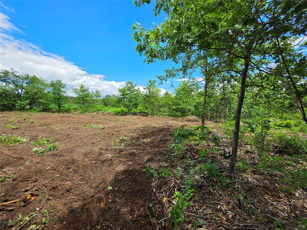 Photo of 0 County Highway E Lot 3, Elk Mound, WI 54739 (MLS # 1600992)