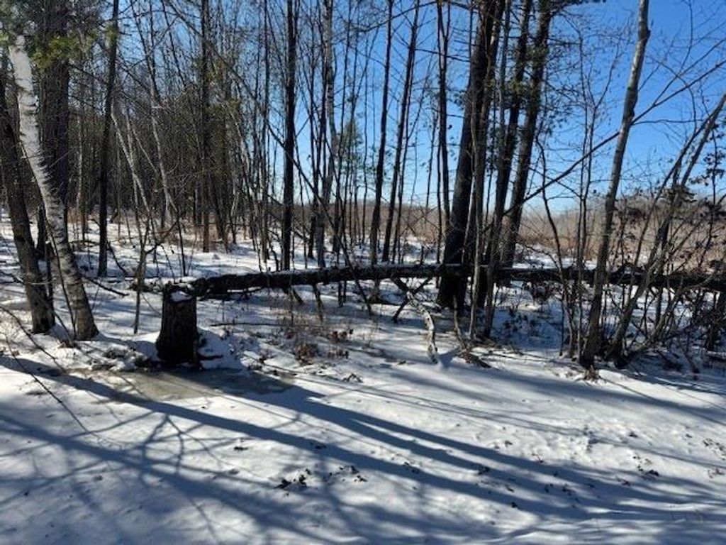 Photo of 00 Sterling AVENUE, Neillsville, WI 54456 (MLS # 22600749)