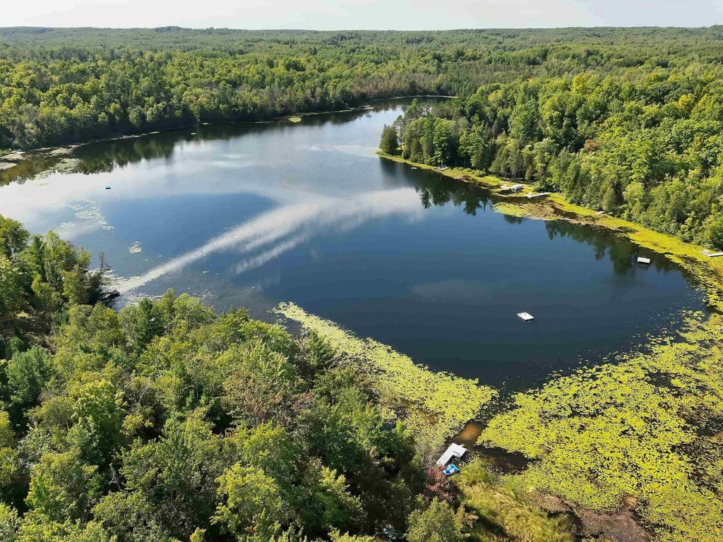 Photo of 15812 Mac Holz LANE, Mountain, WI 54149 (MLS # 50331871)