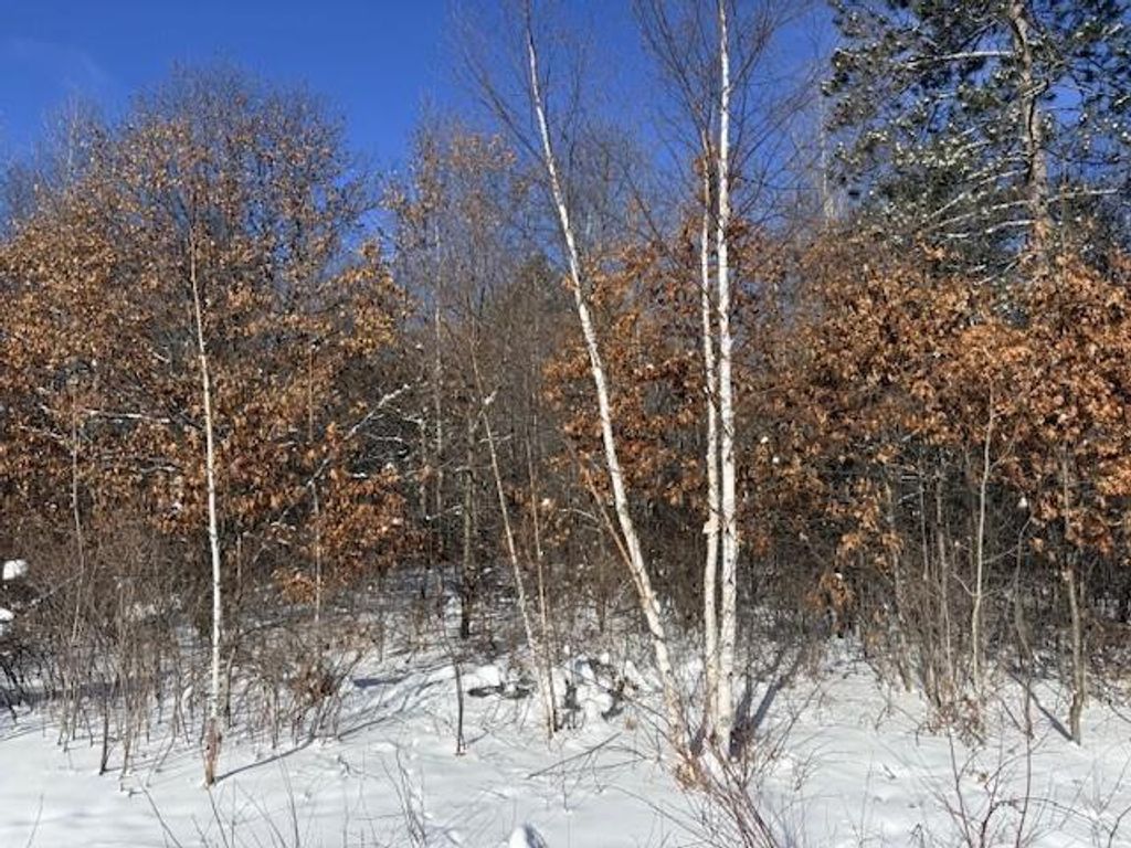 Photo of 1608 Pineview LANE, Tomahawk, WI 54487 (MLS # 22600189)