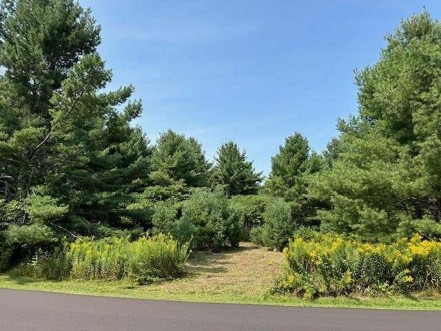 Photo of 129XX W Pine Cove LANE, Hayward, WI 54843 (MLS # 1602327)