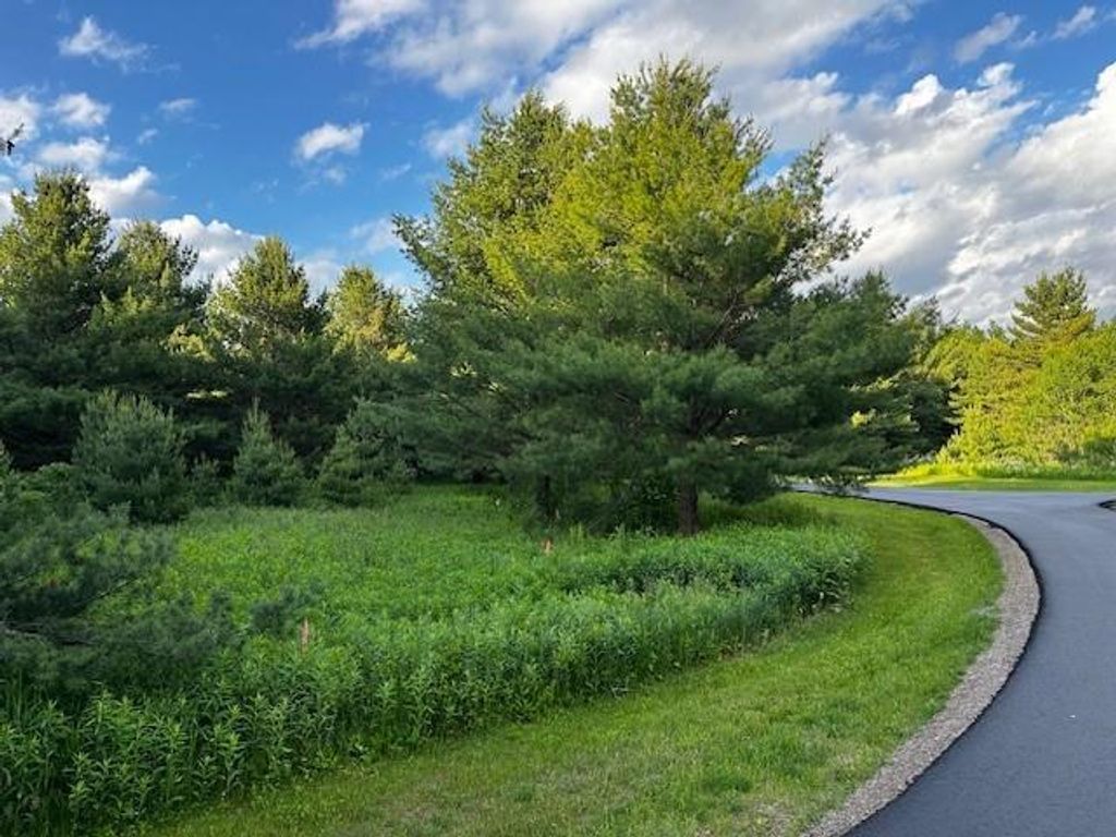 Photo of 129XX W Pine Cove LANE, Hayward, WI 54843 (MLS # 1602327)
