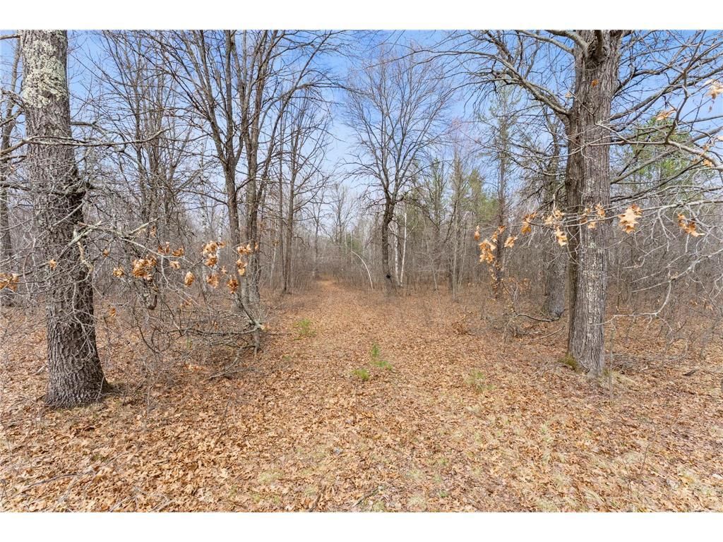 Photo of 7108 Oakwood PARKWAY, Webster, WI 54893 (MLS # 7056815)