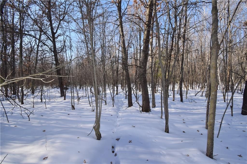 Photo of Lots 1-4 Clam Lake DRIVE, Siren, WI 54872 (MLS # 1598186)