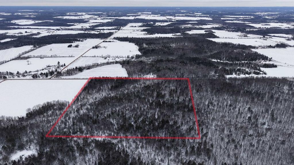 Photo of 43+/- AC County Rd FF Acres ACRES, Merrill, WI 54452 (MLS # 2019092)