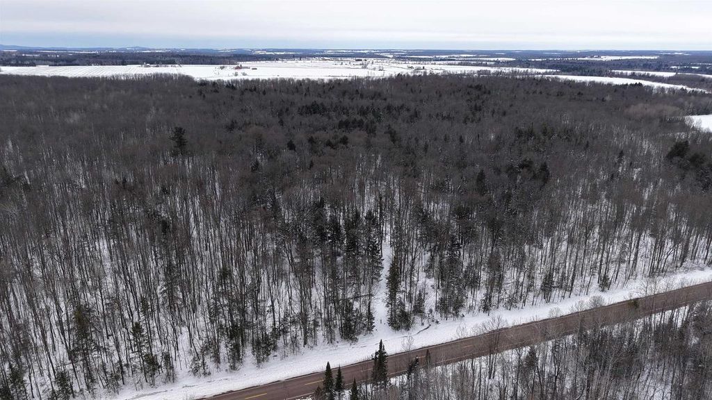 Photo of 43+/- AC County Rd FF Acres ACRES, Merrill, WI 54452 (MLS # 2019092)