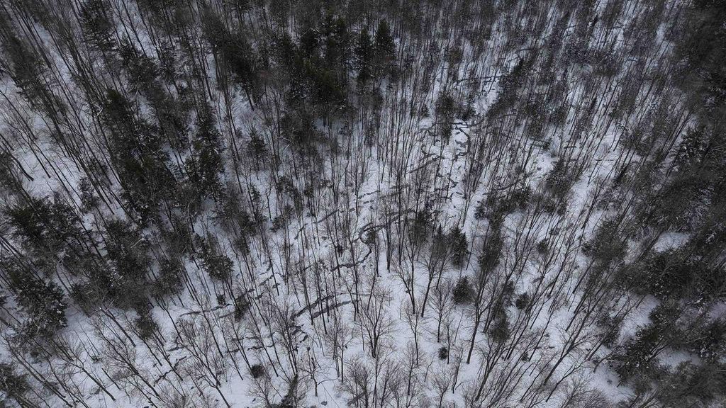 Photo of 43+/- AC County Rd FF Acres ACRES, Merrill, WI 54452 (MLS # 2019092)