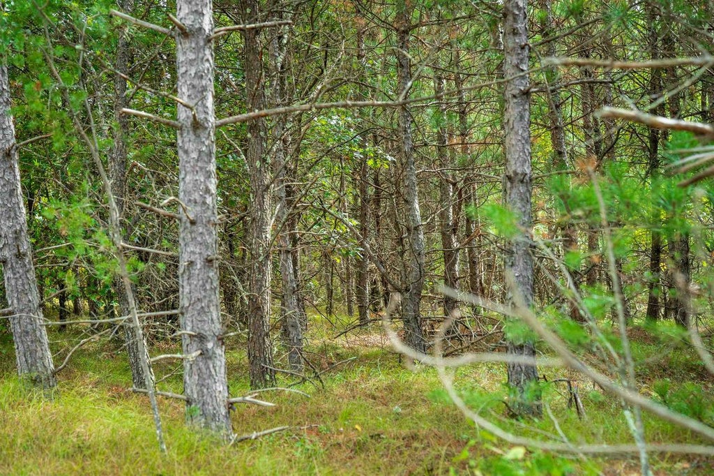 Photo of 43.93+/- AC Horse Creek Rd Acres ACRES, Augusta, WI 54729 (MLS # 2033876)