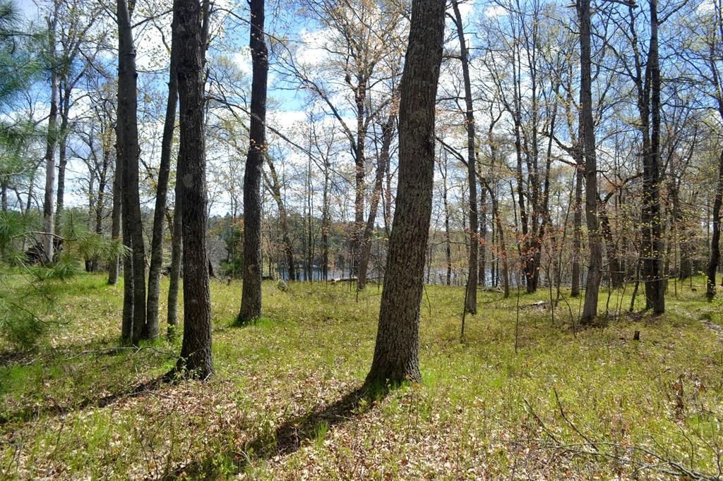 Photo of 1391 Dock Lake ROAD, Spooner, WI 54801 (MLS # 1601069)