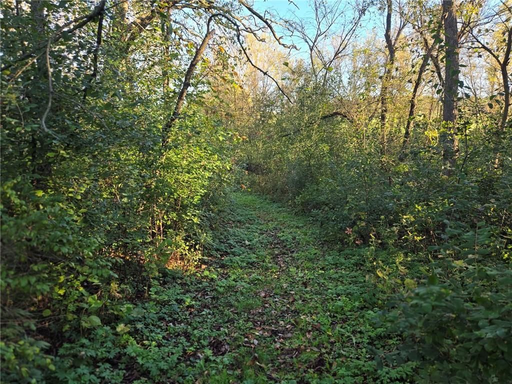 Photo of W328 State Road 121, Mondovi, WI 54755 (MLS # 1596503)