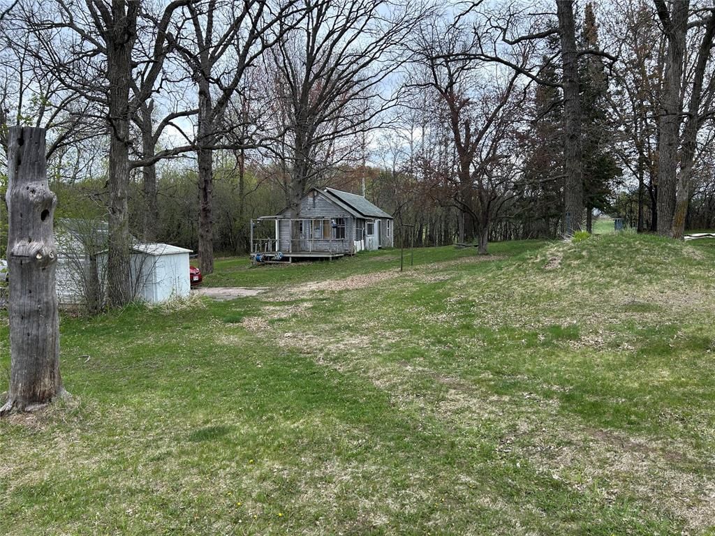 Photo of 203 Dallas STREET, Dallas, WI 54733 (MLS # 1600875)