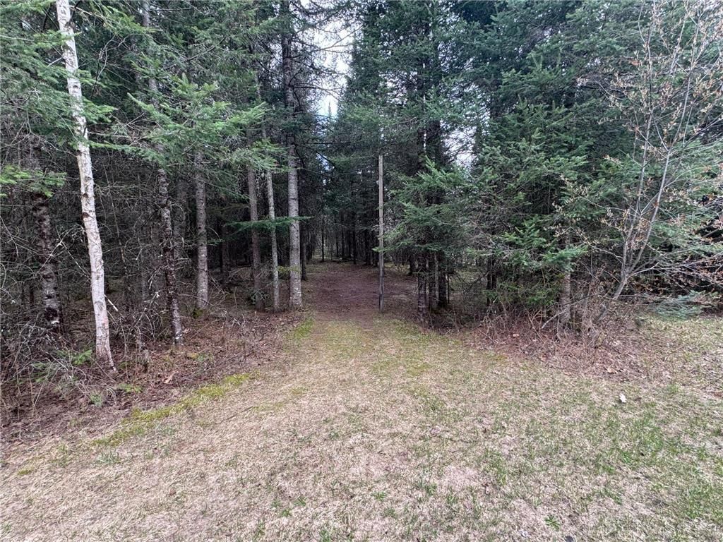 Photo of 8225 N Blaisdell Lake, Winter, WI 54896 (MLS # 7068617)