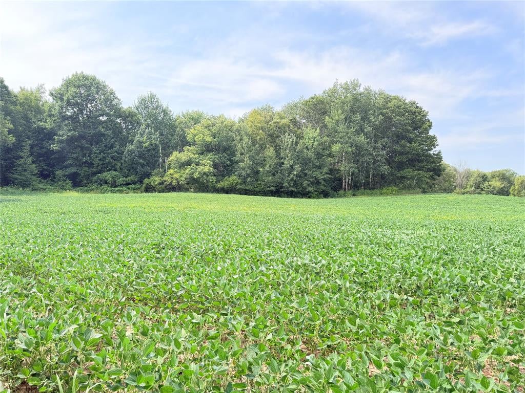 Photo of 0 230th STREET, St Croix Falls, WI 54024 (MLS # 1604816)