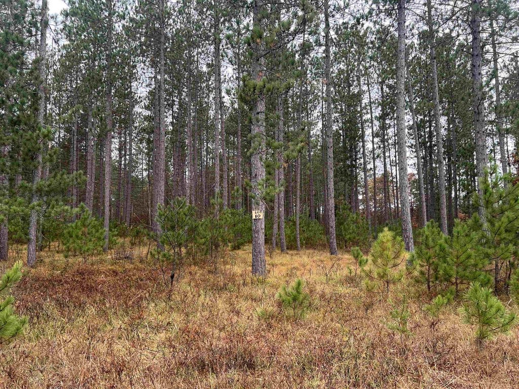 Photo of Trout Haven ROAD, Dunbar, WI 54119 (MLS # 50334561)