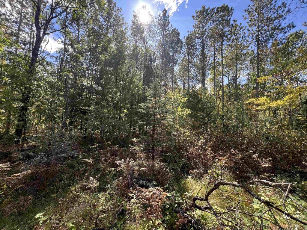 Photo of Trout Haven ROAD, Dunbar, WI 54119 (MLS # 50334561)