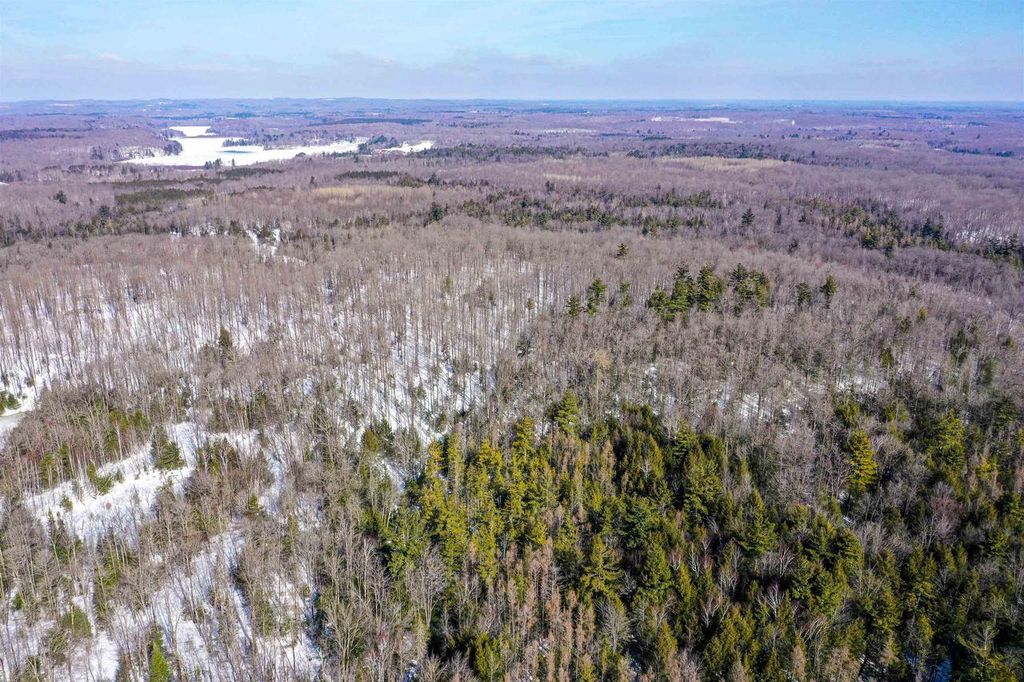 Photo of Emil DRIVE, Rib Lake, WI 54470 (MLS # 50322763)