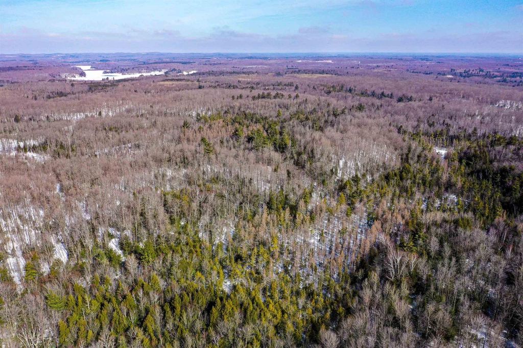Photo of Emil DRIVE, Rib Lake, WI 54470 (MLS # 50322763)