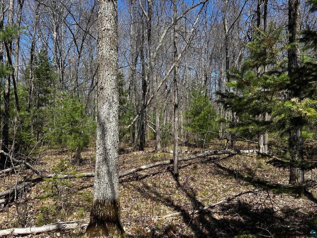 Photo of Lot 6 Hwy 70, Spooner, WI 54801 (MLS # 6125312)