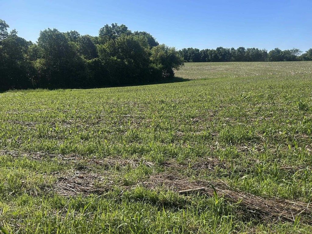 Photo of 42.47 County Road C, Soldiers Grove, WI 54655 (MLS # 2026716)