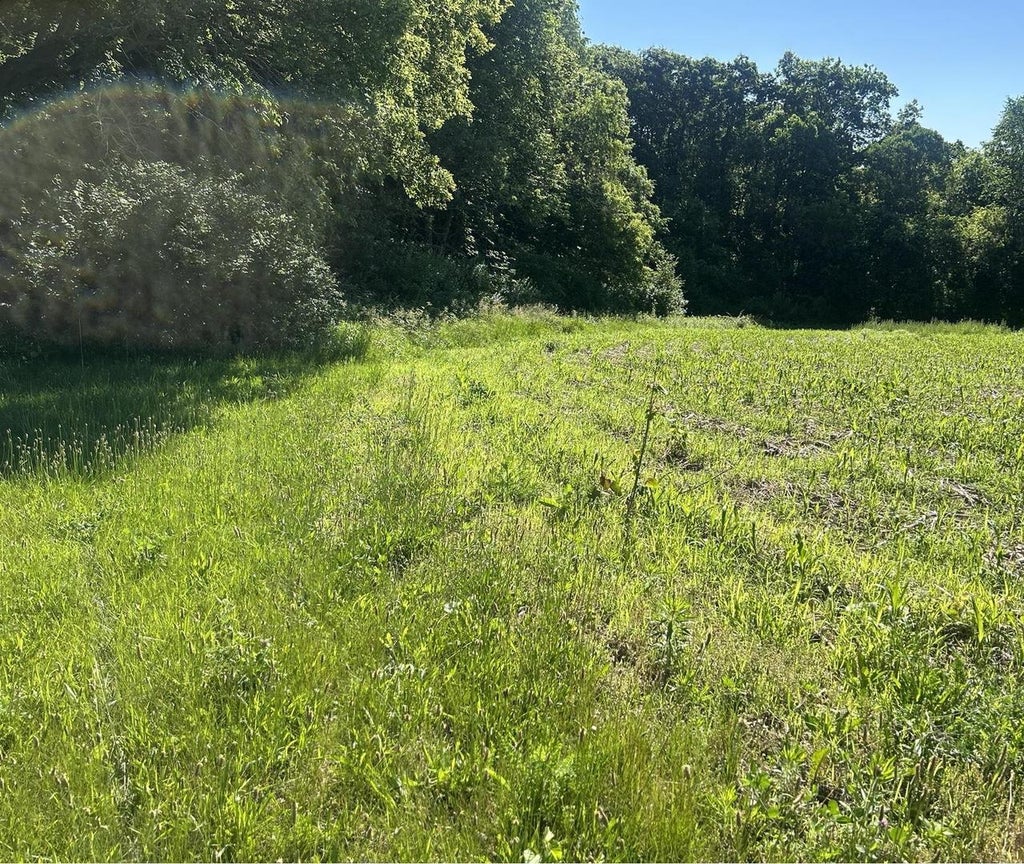 Photo of 42.47 County Road C, Soldiers Grove, WI 54655 (MLS # 2026716)