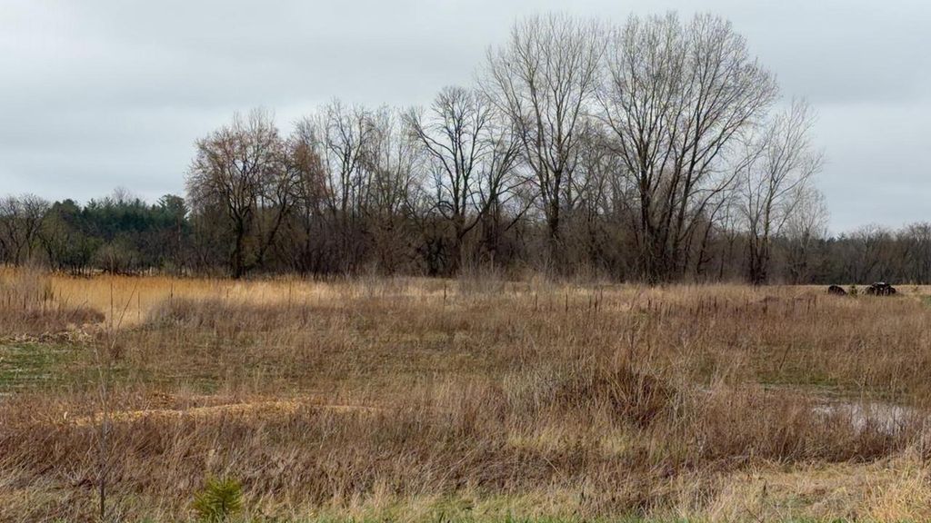 Photo of US 45, Fremont, WI 54940 (MLS # 50323788)