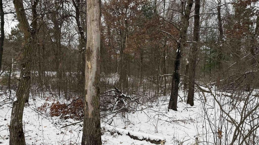 Photo of 1.50 Acres Retirement LANE, Necedah, WI 54646 (MLS # 2015090)