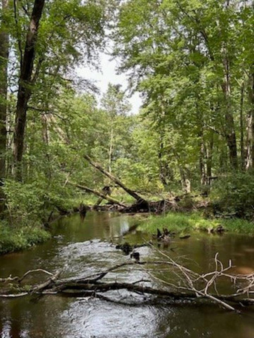 Photo of 39.94 Acres County Road V, Pittsville, WI 54466 (MLS # 22505645)