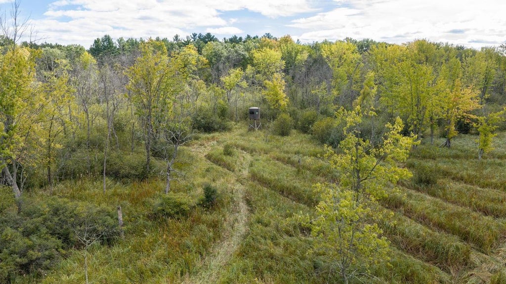 Photo of N3403 Ebert ROAD, New London, WI 54961 (MLS # 2033529)