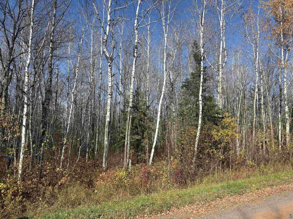 Photo of XXX Madigan ROAD, Odanah, WI 54861 (MLS # 6122732)