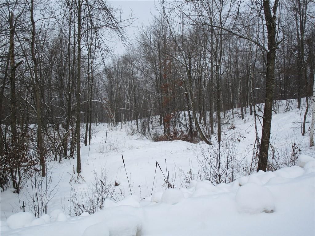 Photo of 000 Camp Road, Weyerhaeuser, WI 54895 (MLS # 1598023)