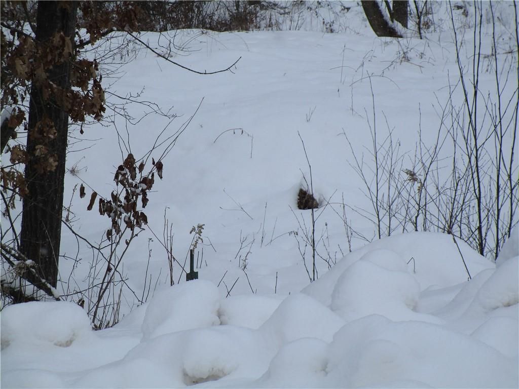 Photo of 000 Camp Road, Weyerhaeuser, WI 54895 (MLS # 1598023)