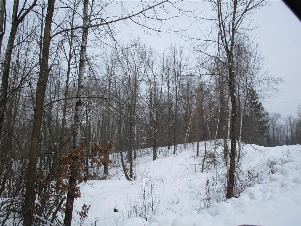 Photo of 000 Camp Road, Weyerhaeuser, WI 54895 (MLS # 1598023)