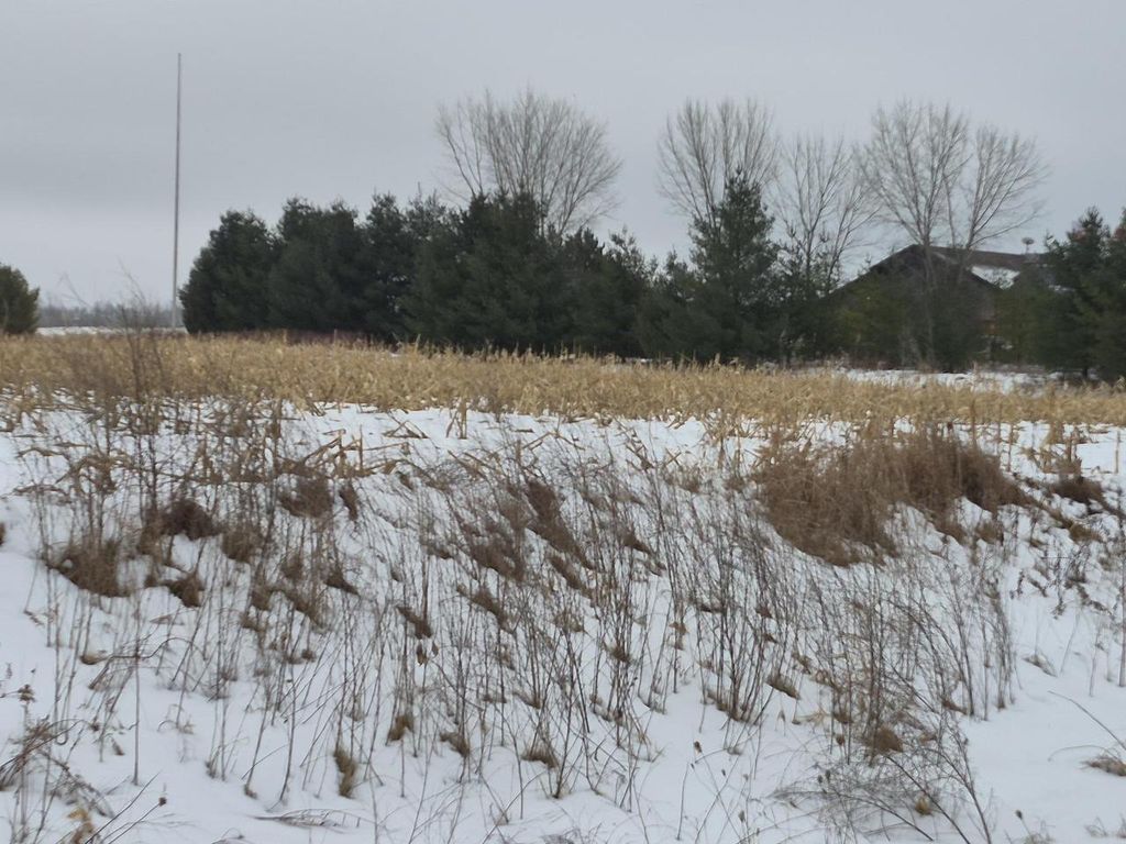 Photo of County Road Ee, Abrams, WI 54101 (MLS # 50320073)