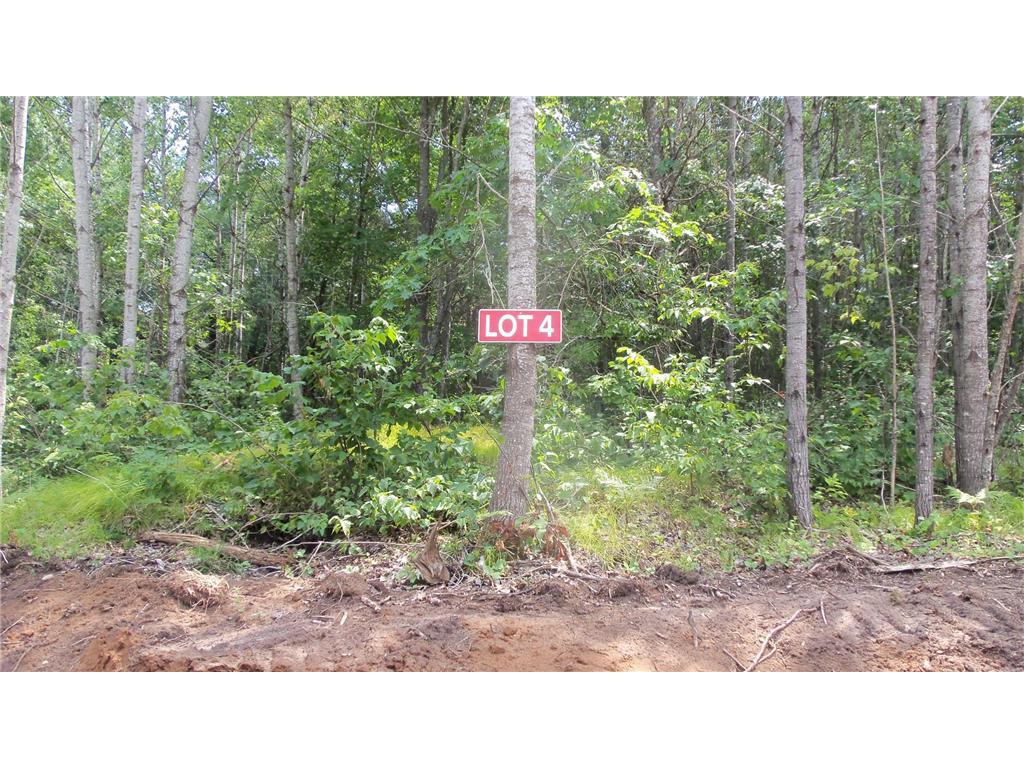 Photo of Lot 4 Birch Tree Trl, Spooner, WI 54801 (MLS # 7120159)