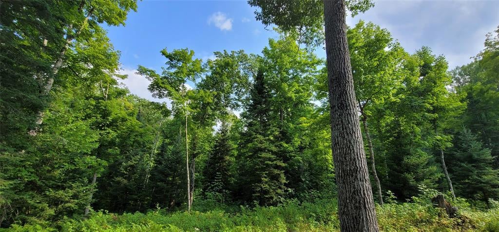 Photo of 0000 Lower Twin Lake, Hayward, WI 54843 (MLS # 1603902)