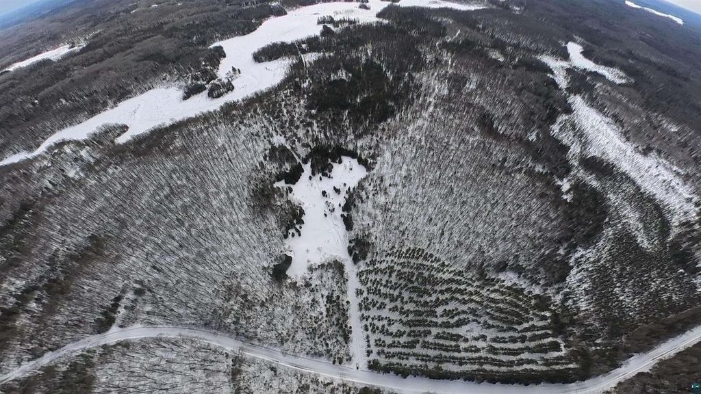 Photo of 38.7 Acres Near Namakagon ROAD, Mellen, WI 54546 (MLS # 6123849)