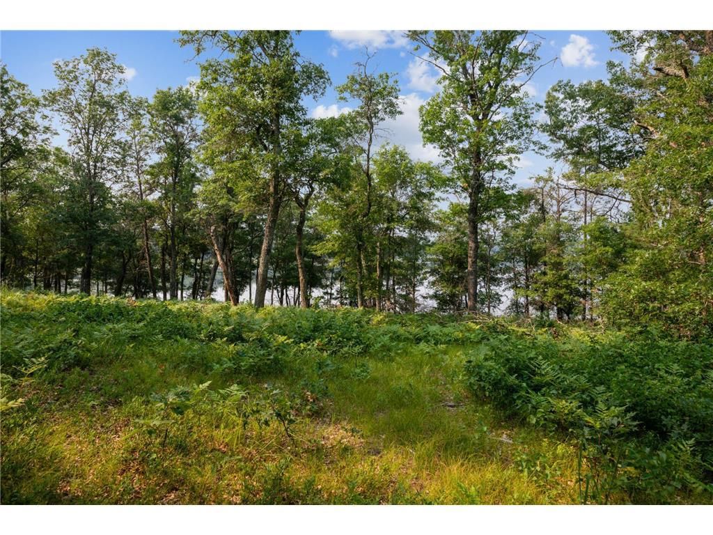 Photo of 300xx Crystal Lake DRIVE, Danbury, WI 54830 (MLS # 7057790)