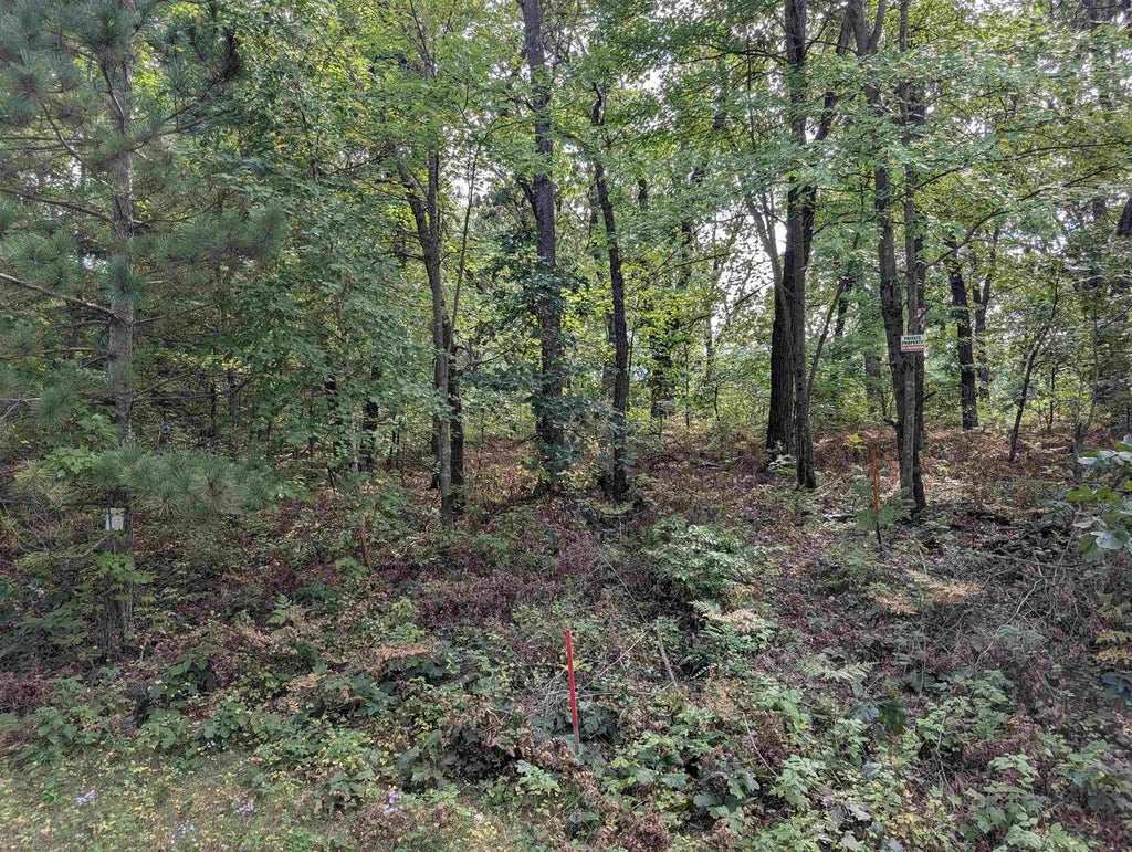 Photo of E8877 Raedel LANE, Wisconsin Dells, WI 53965 (MLS # 2032719)