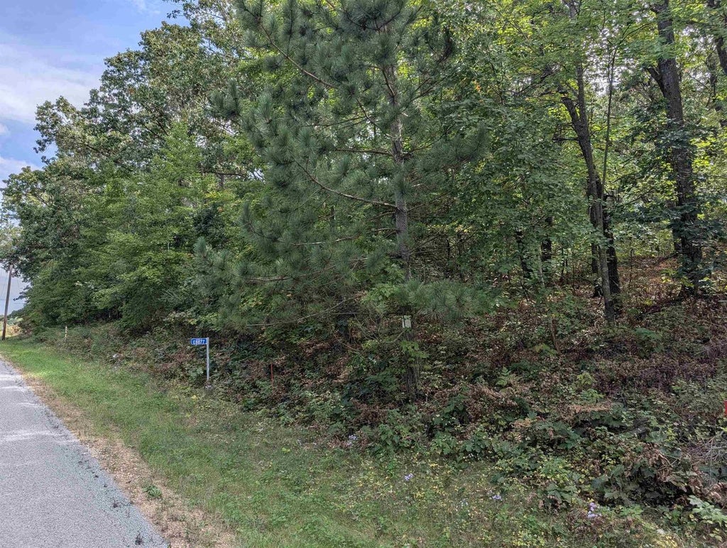 Photo of E8877 Raedel LANE, Wisconsin Dells, WI 53965 (MLS # 2032719)