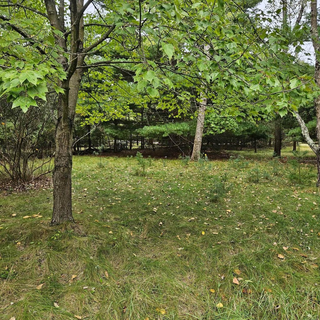 Photo of N4771 Brentwood COURT, Montello, WI 53949 (MLS # 2033551)