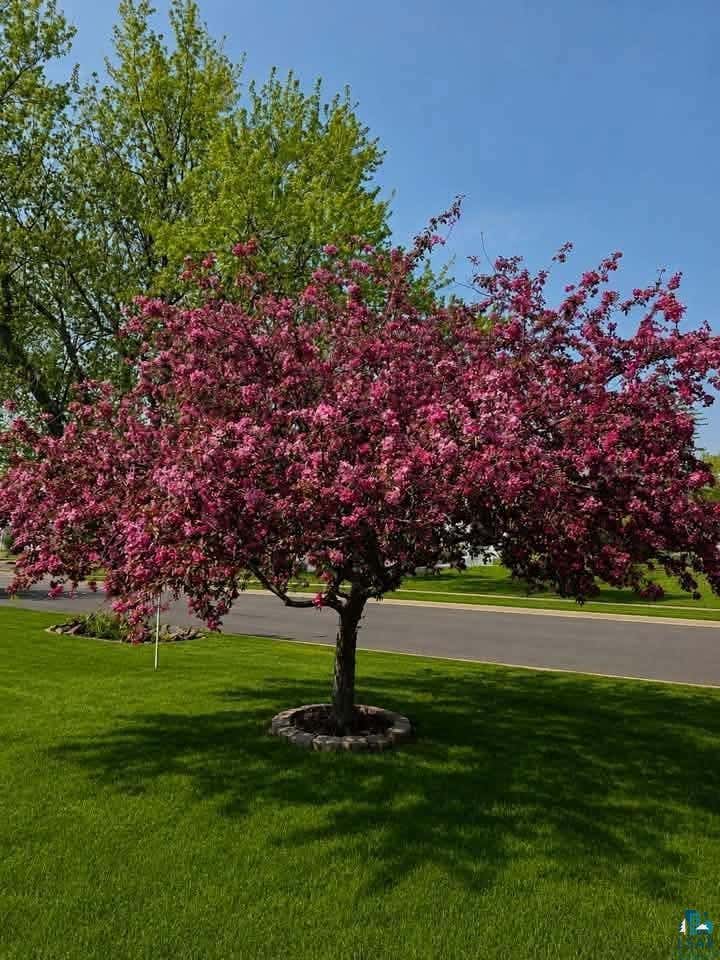 Photo of 2206 Hammond AVENUE, Superior, WI 54880 (MLS # 6127132)